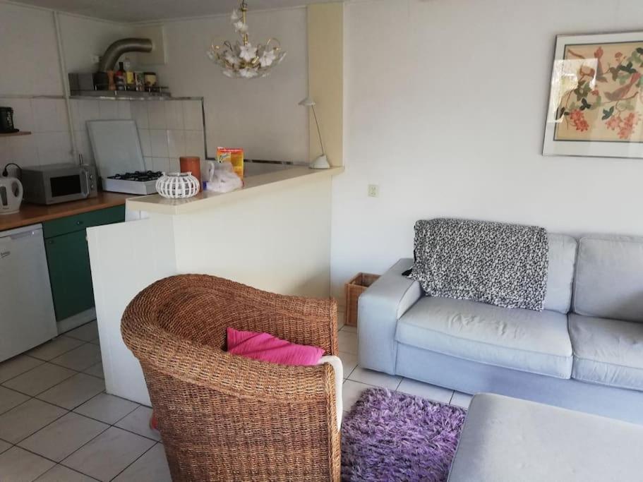 Cottage Egmond-Binnen Met Besloten Tuin Exterior foto
